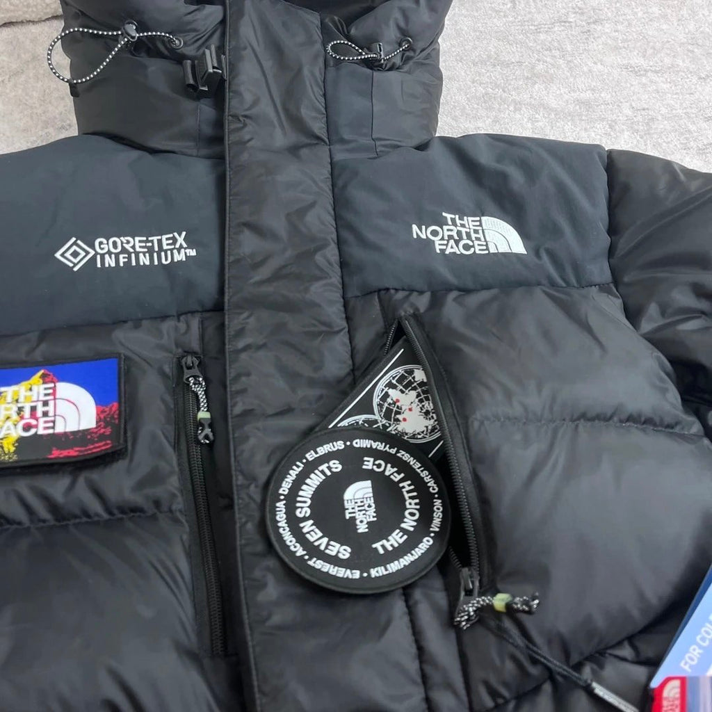 N0rth Face Down Jacket