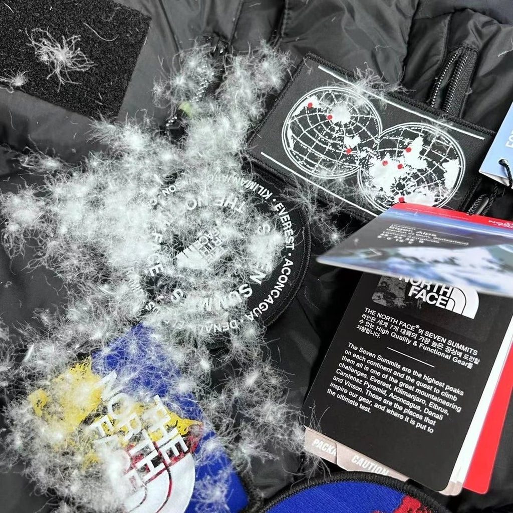 N0rth Face Down Jacket