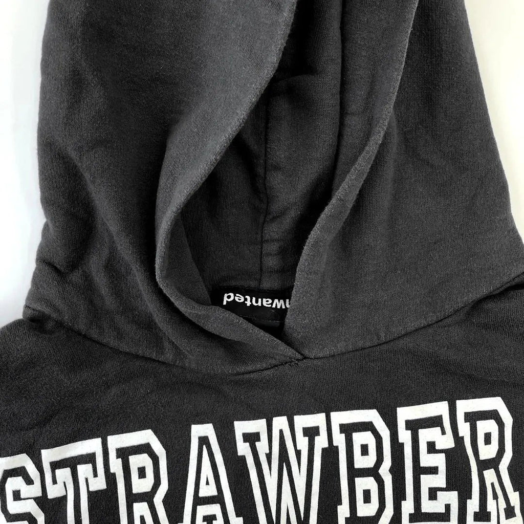 Strawberry Mansion Hoodie