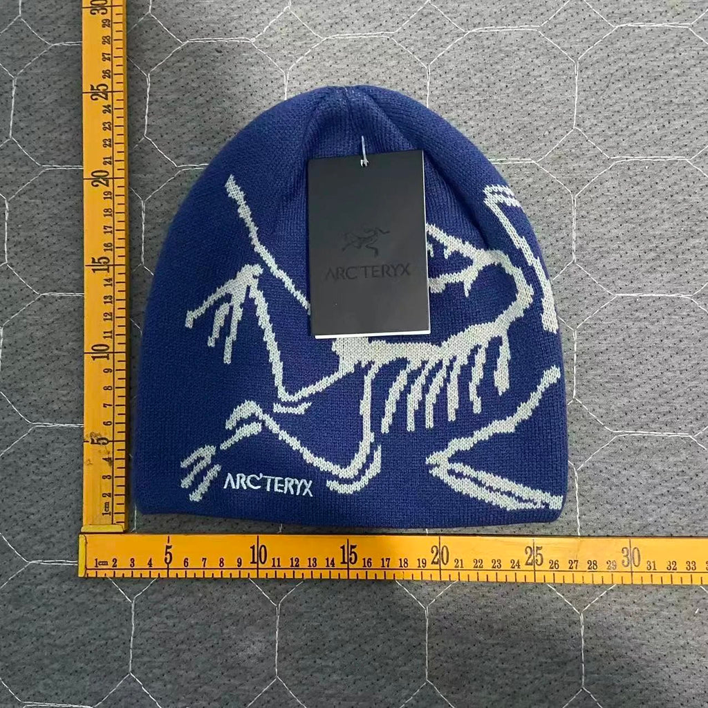 Arcteryks beanie