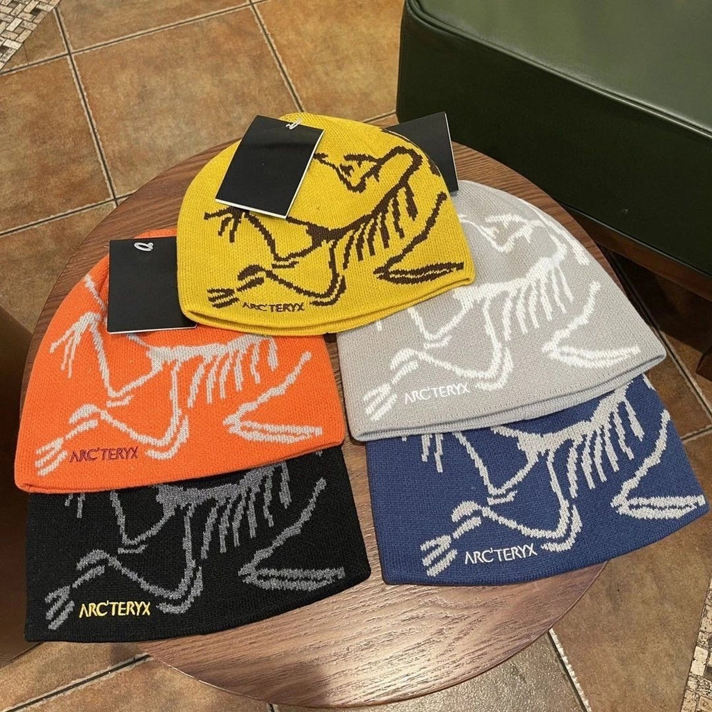 Arcteryks beanie