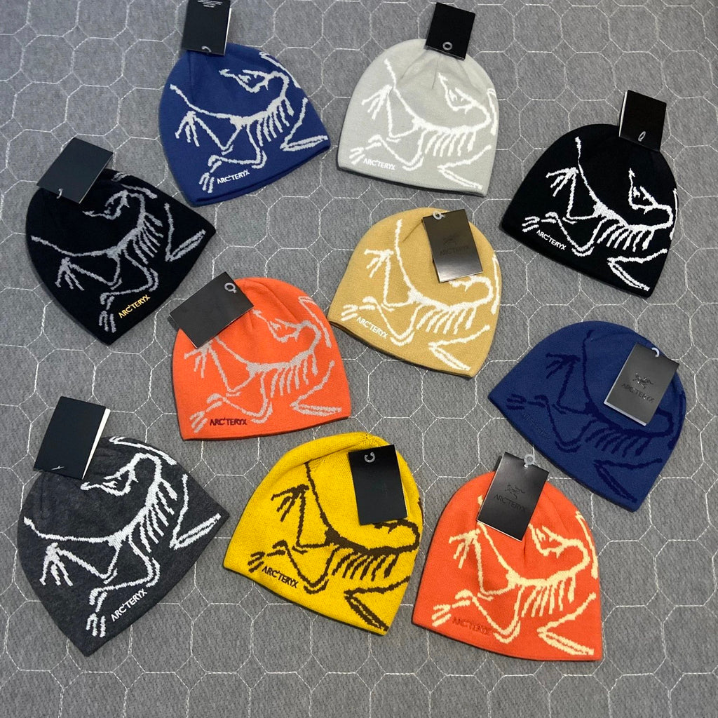 Arcteryks beanie